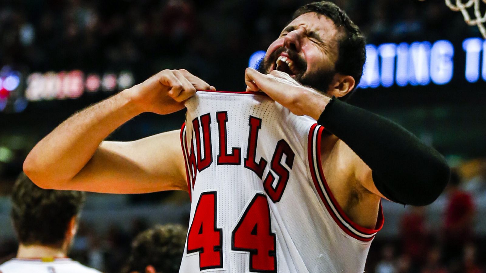 Mirotic en un partido de los Bulls esta semana