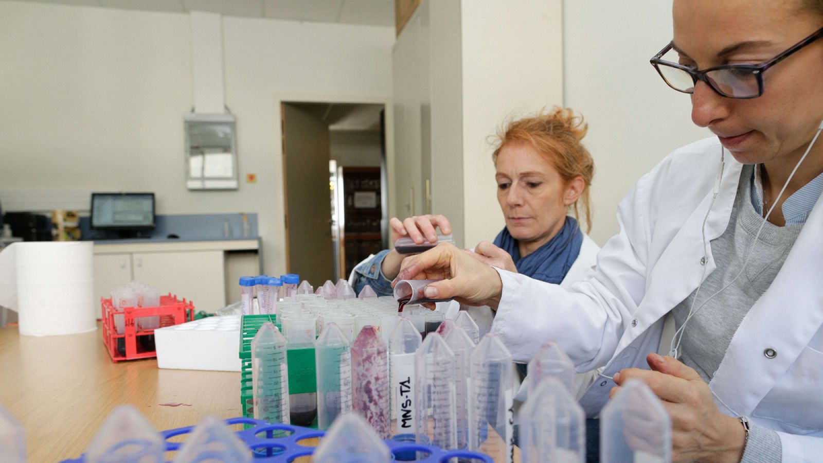 Investigadoras francesas analizan muestras de cultivo de vid