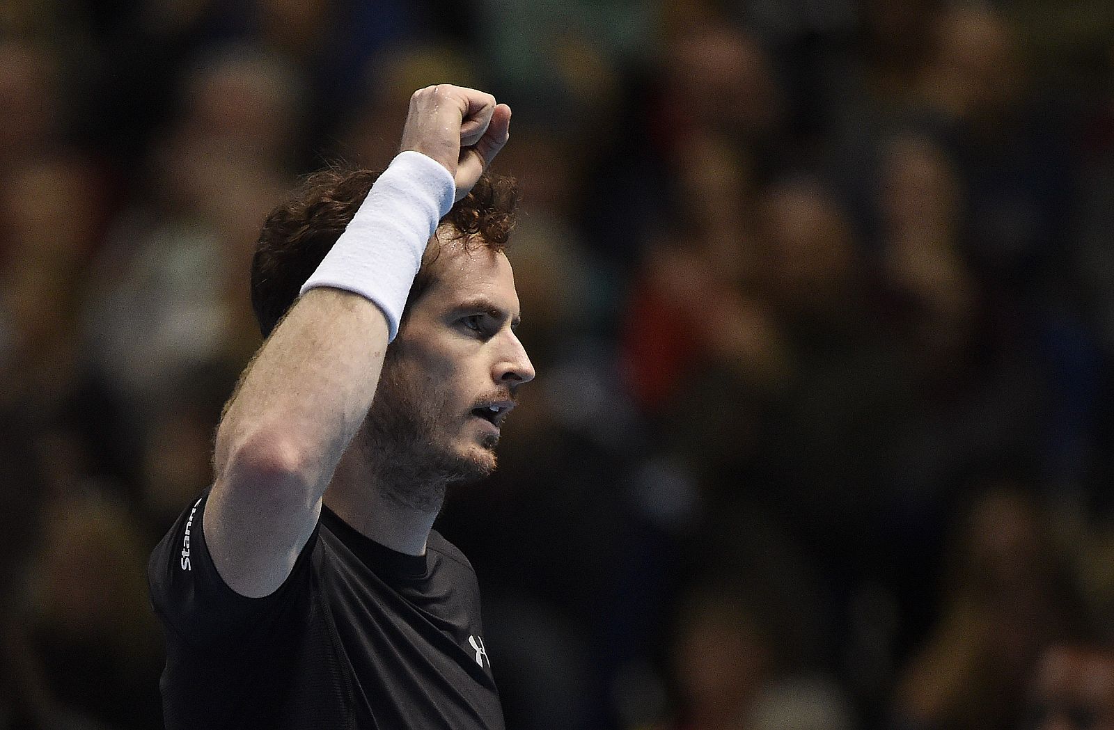 Murray celebra su victoria ante Ferrer.