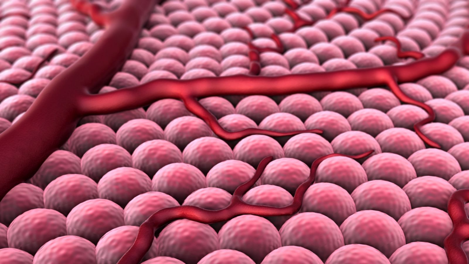Al miniaturizar los chips es posible introducirlos en células vivas mediante lipofección.