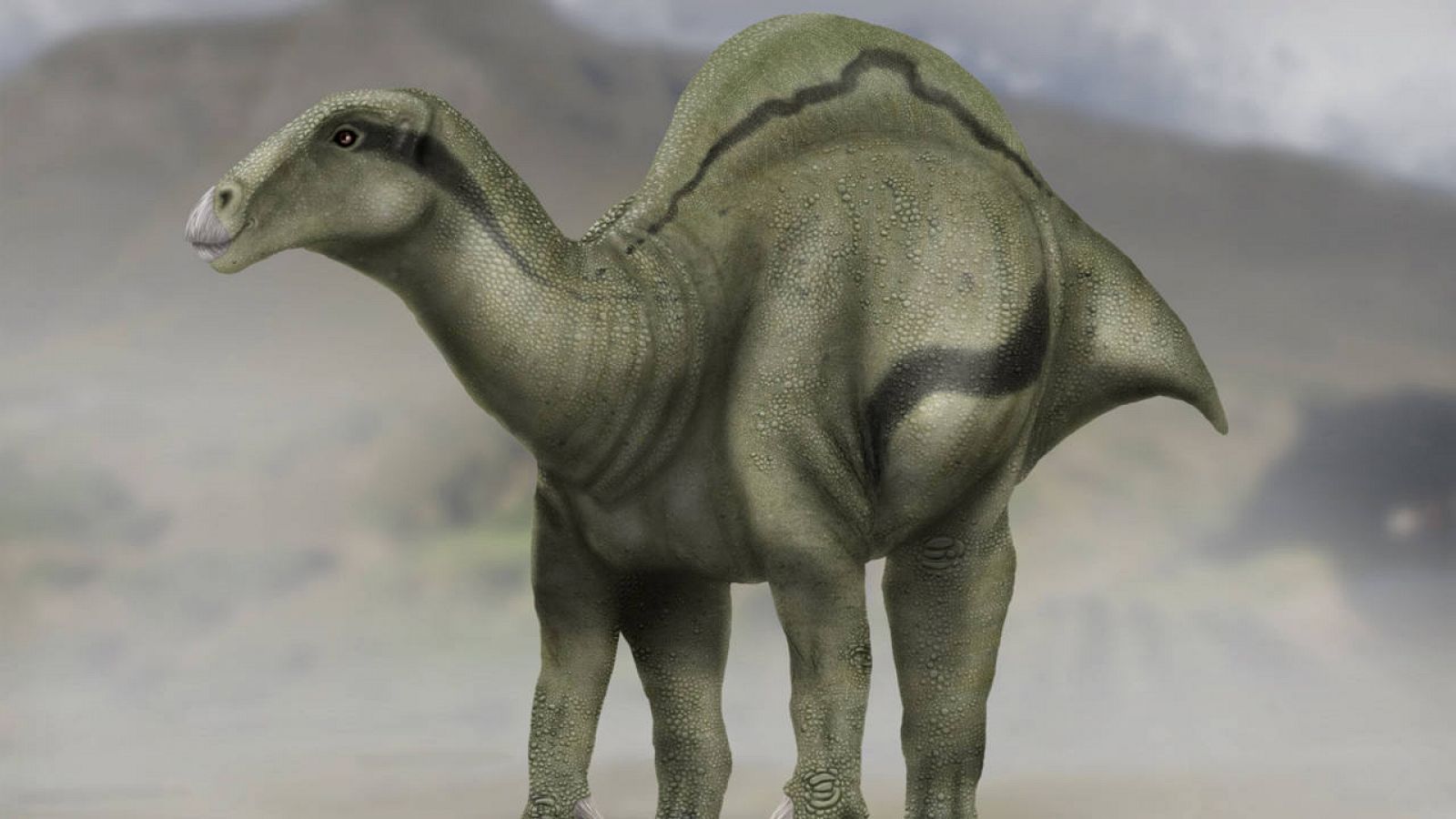Hallada una nueva especie de dinosaurio en Castellón | RTVE