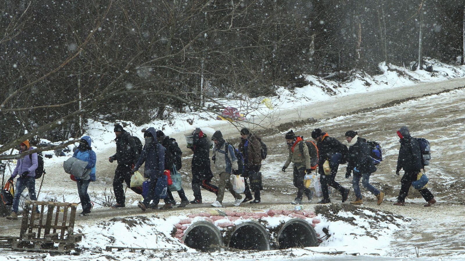 Refugiados de Siria, Irak y Afganistán caminan hacia un campamento temporal para inmigrantes en el pueblo de Miratovac, Serbia