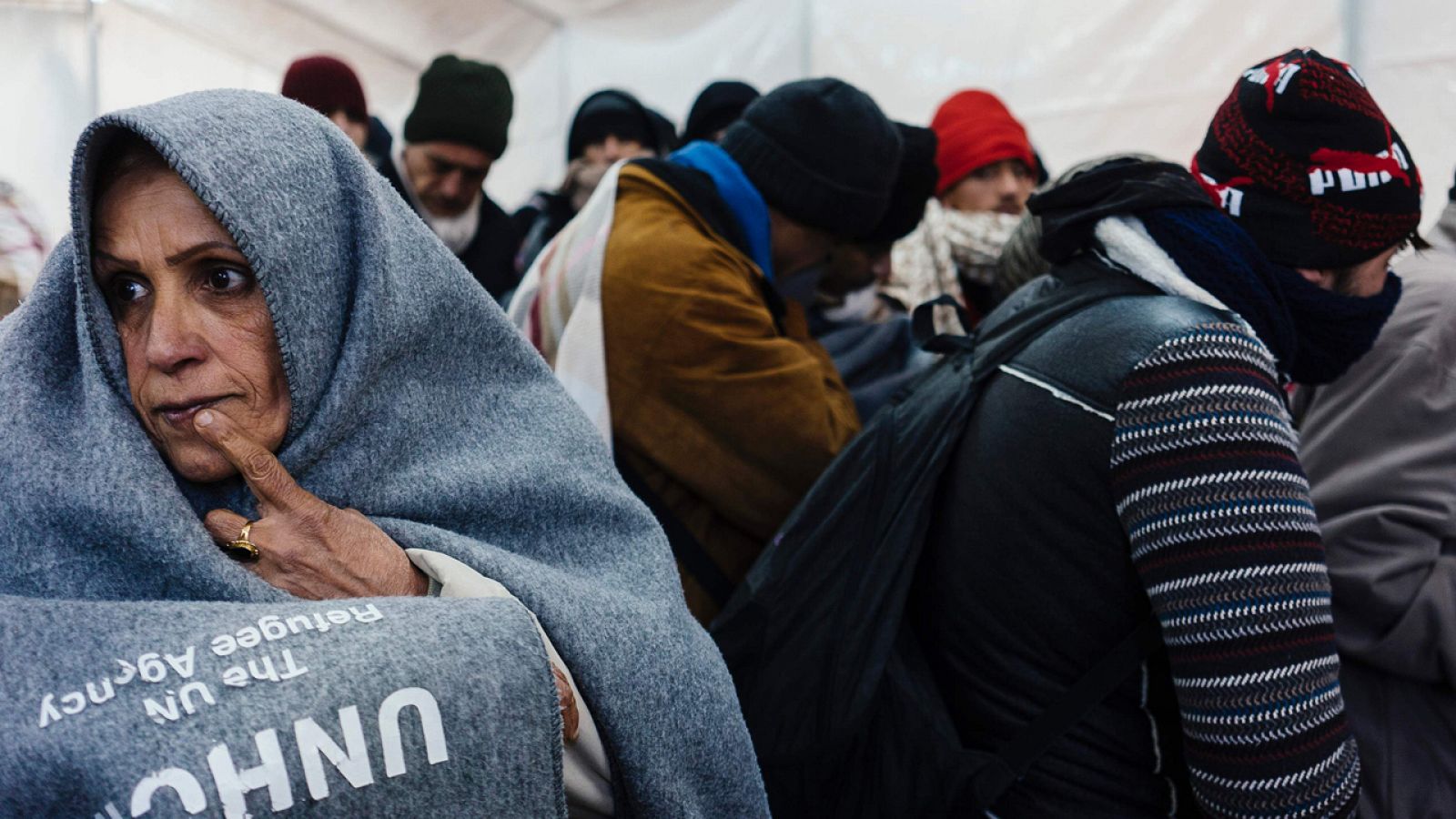 Refugiados aguardan para registrarse en el campo de tránsito de Presevo, en Serbia, tras cruzar desde Macedonia
