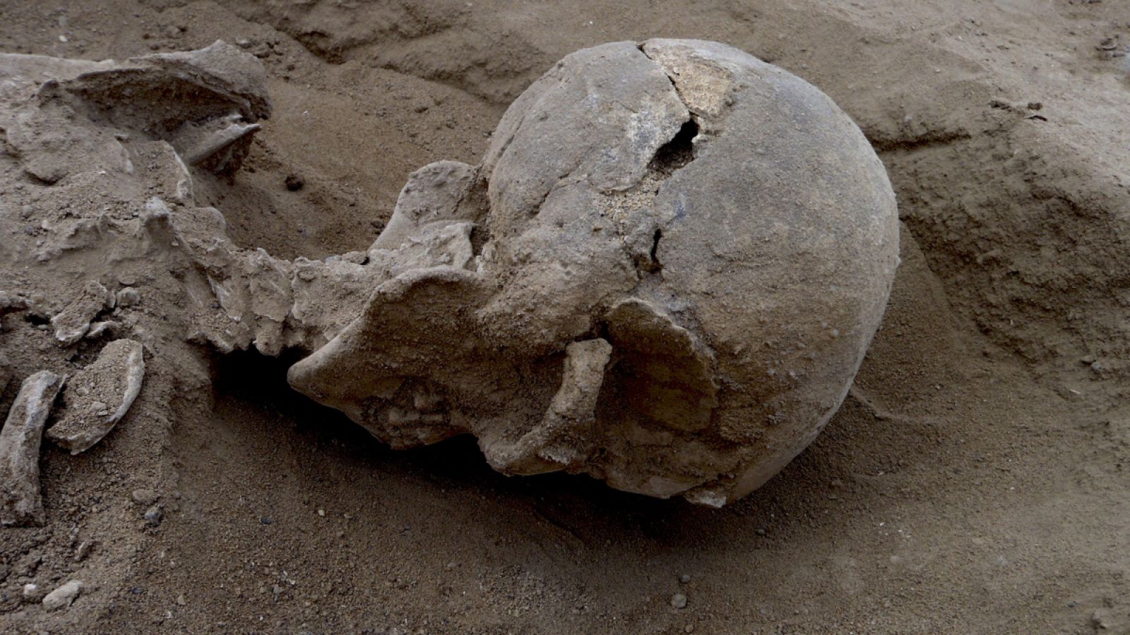 Los restos fueron hallados a 30 kilómetros al oeste del lago Turkana, en Kenia.