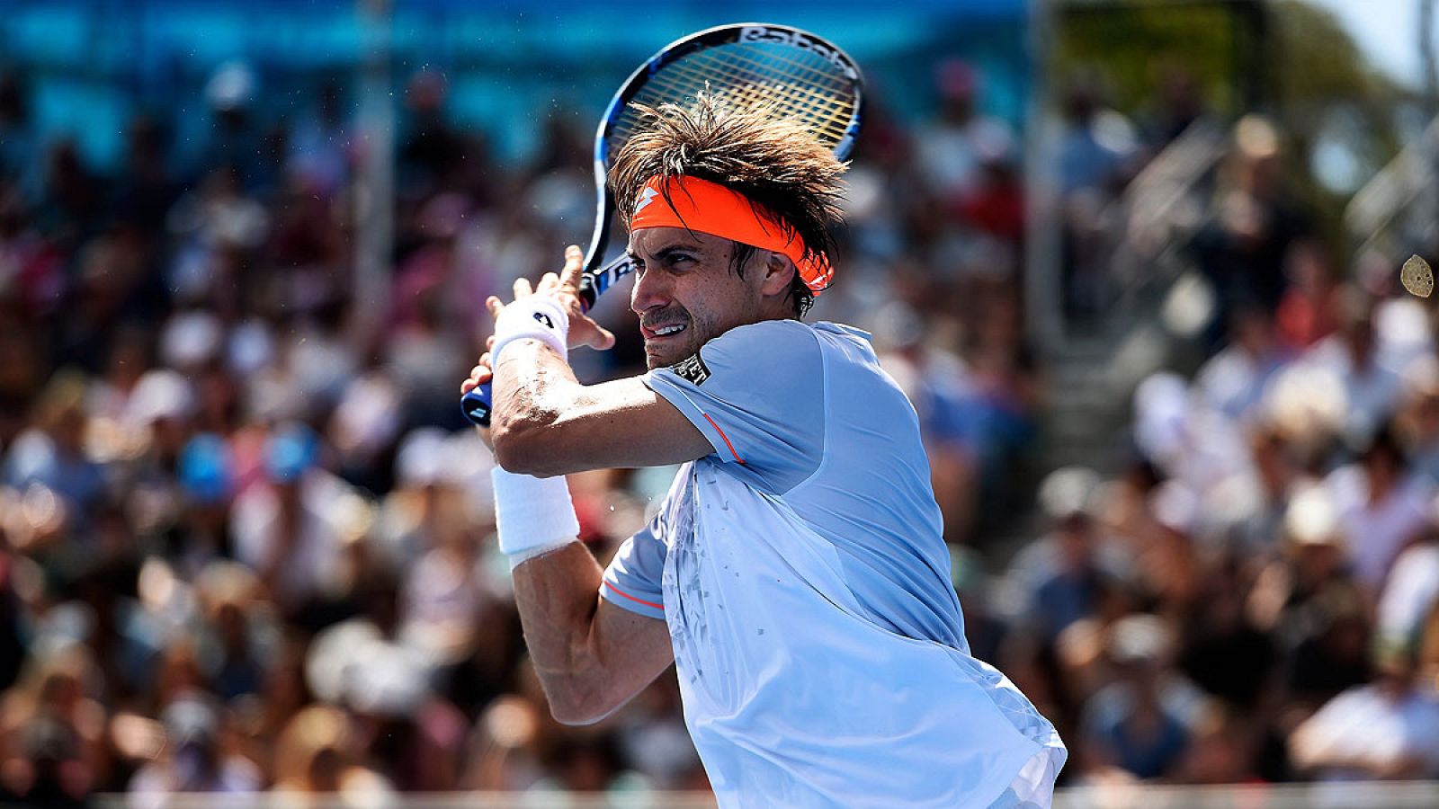 David Ferrer durante su encuentro contra Steve Jonhson