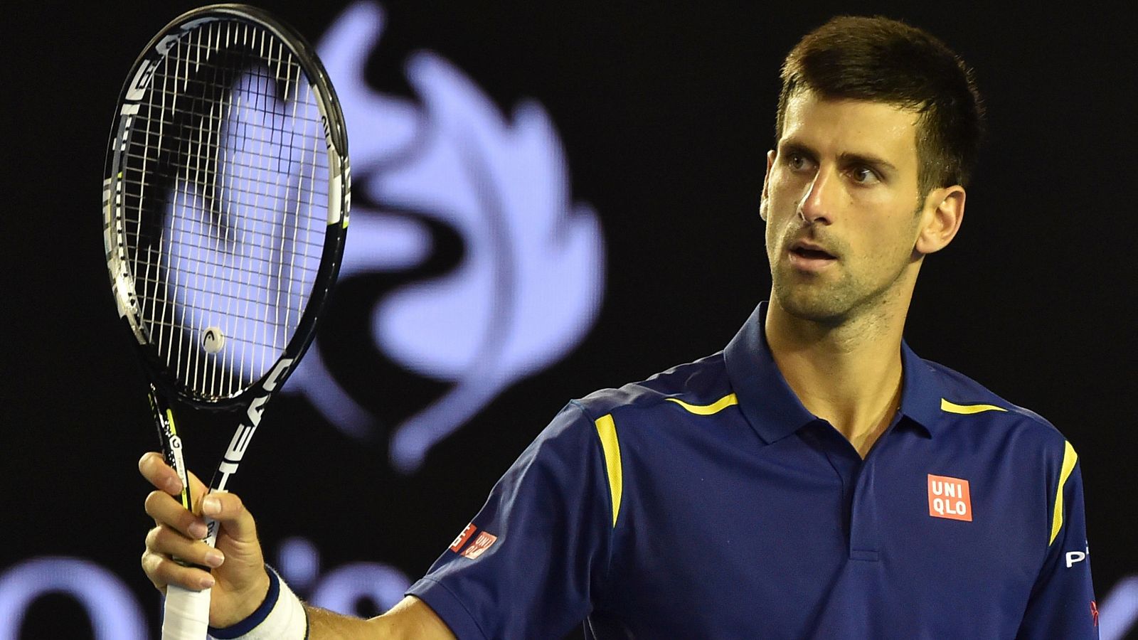 El serbio Novak Djokovic celebra un punto ante Roger Federer