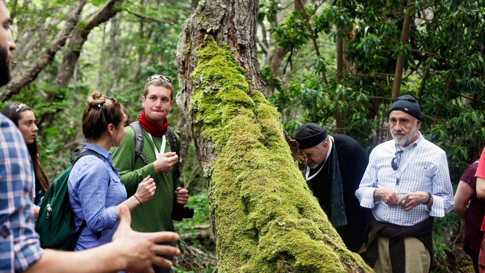 Un grupo de personas observando la biodiversidad durante una visita al Parque Etnobotánico Omora, en la ciudad de Puerto Williams (Chile)
