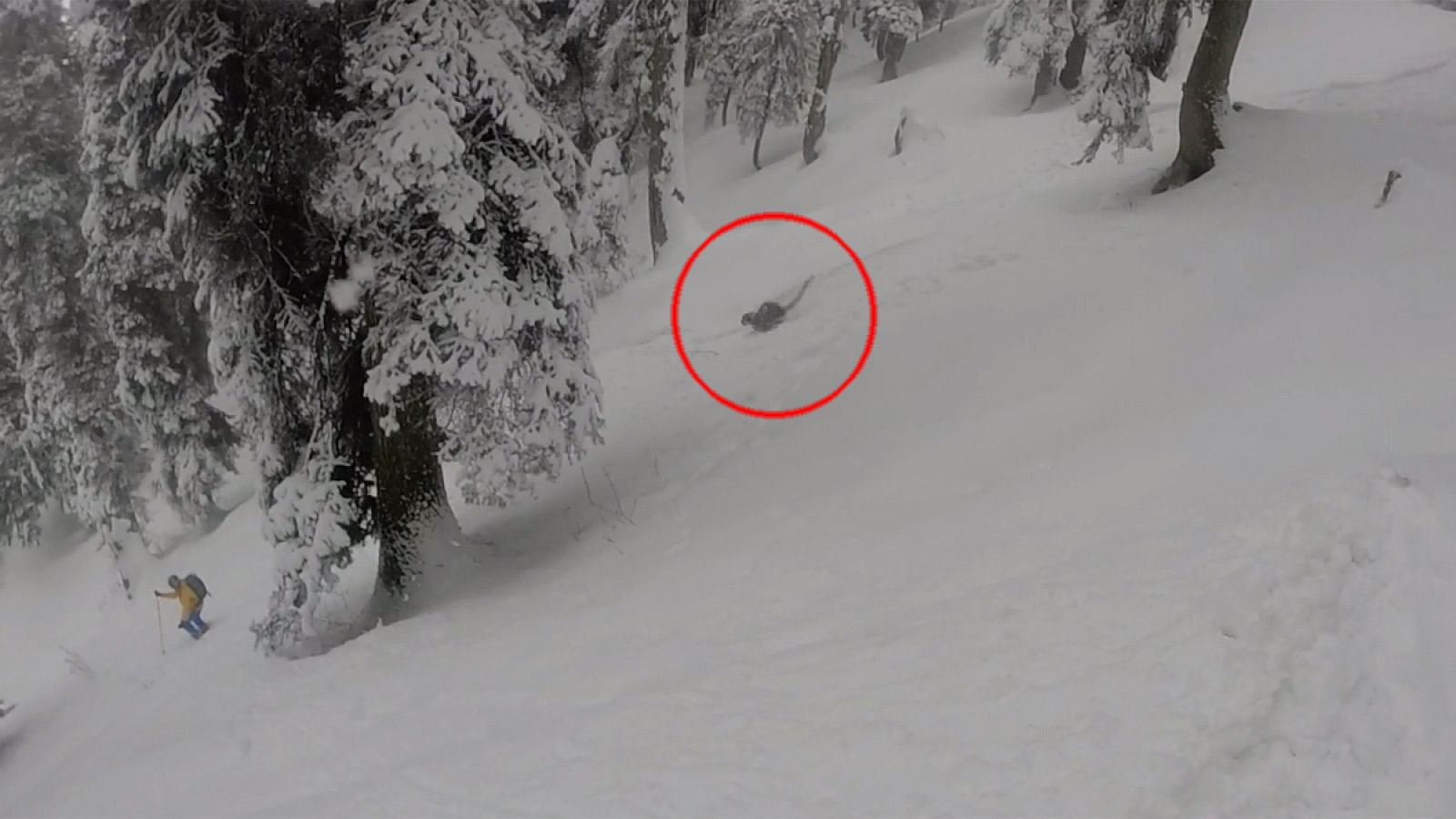 Fotograma del vídeo tomado por los esquiadores en el que se aprecia al felino.