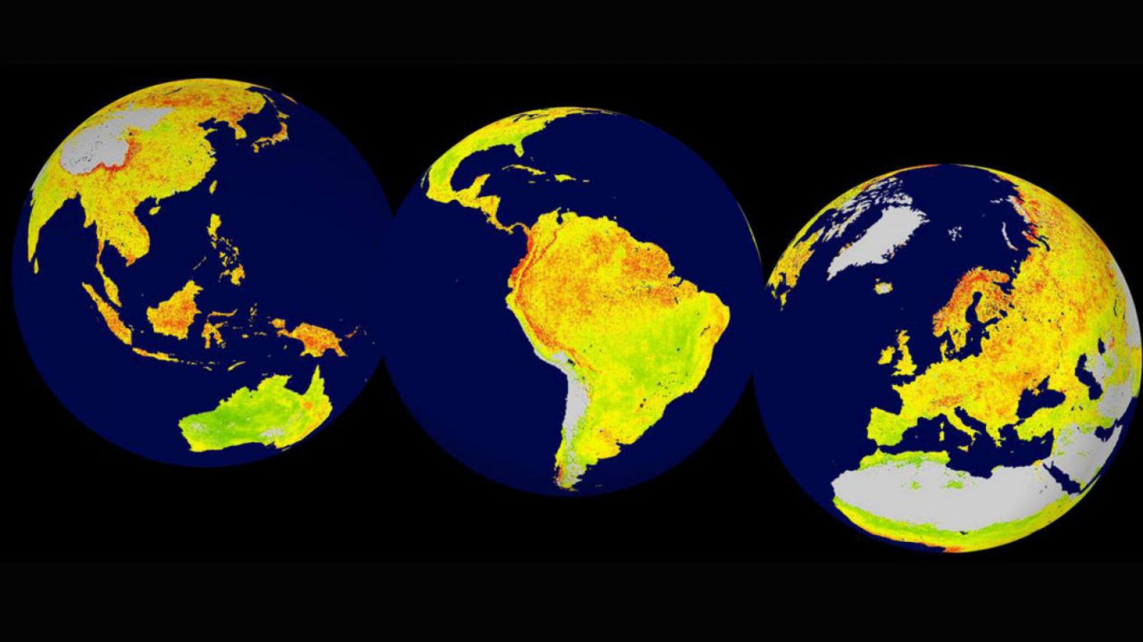 Mapa global del Índice de Sensibilidad de la Vegetación