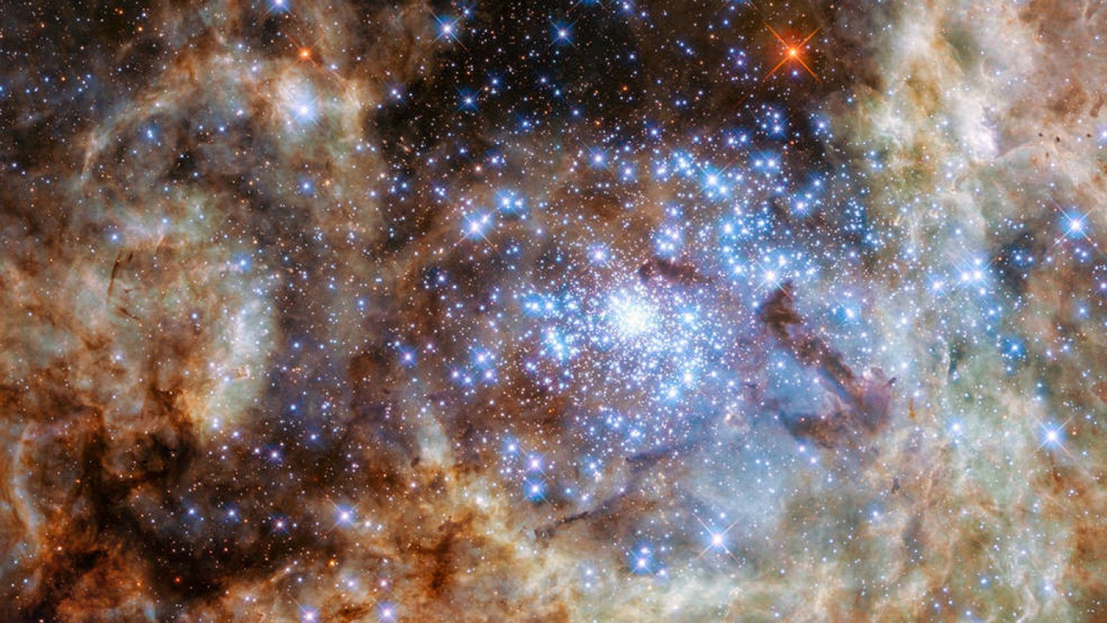 El "cluster" R136 se encuentra en la Nebulosa de la Tarántula, dentro de la Gran Nube de Magallanes.