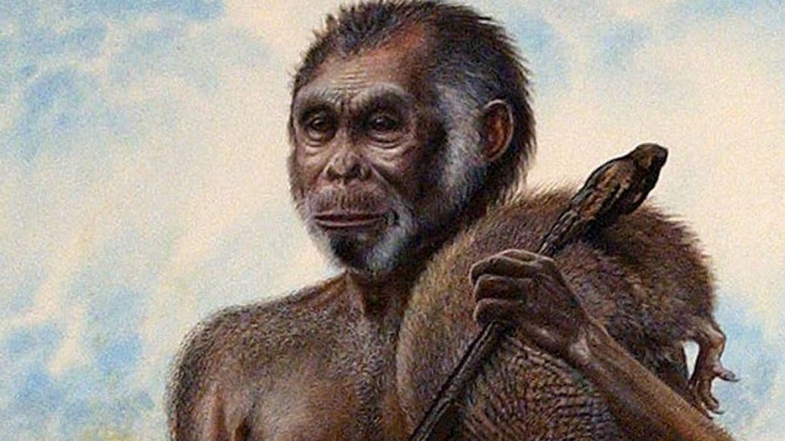 El Homo floresiensis medía un metro, pesaba 30 kilos de peso y tenía un cerebro del tamaño de un pomelo.