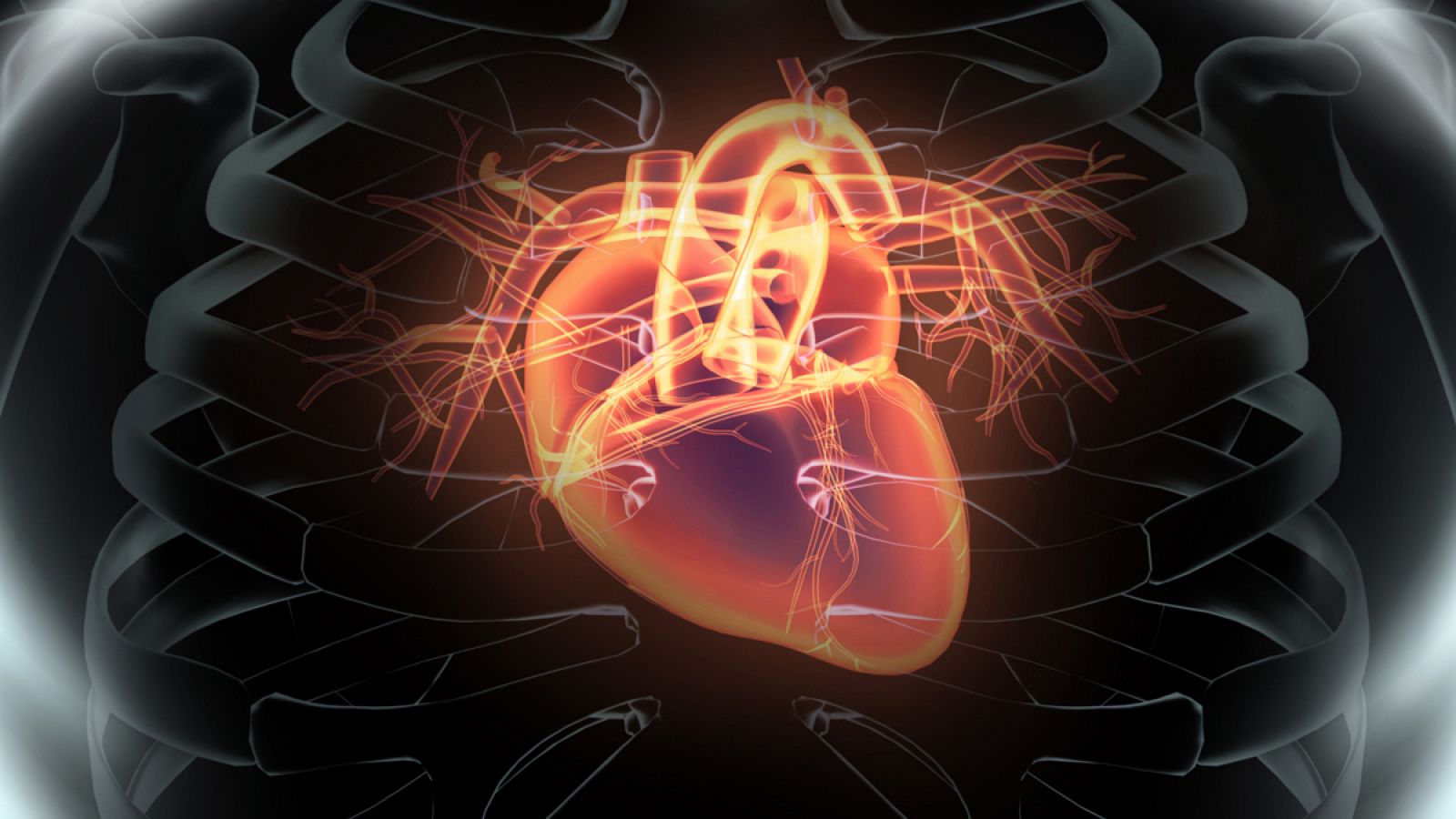 Este hallazgo podría abrir nuevos caminos para las terapias de regeneración cardíaca.