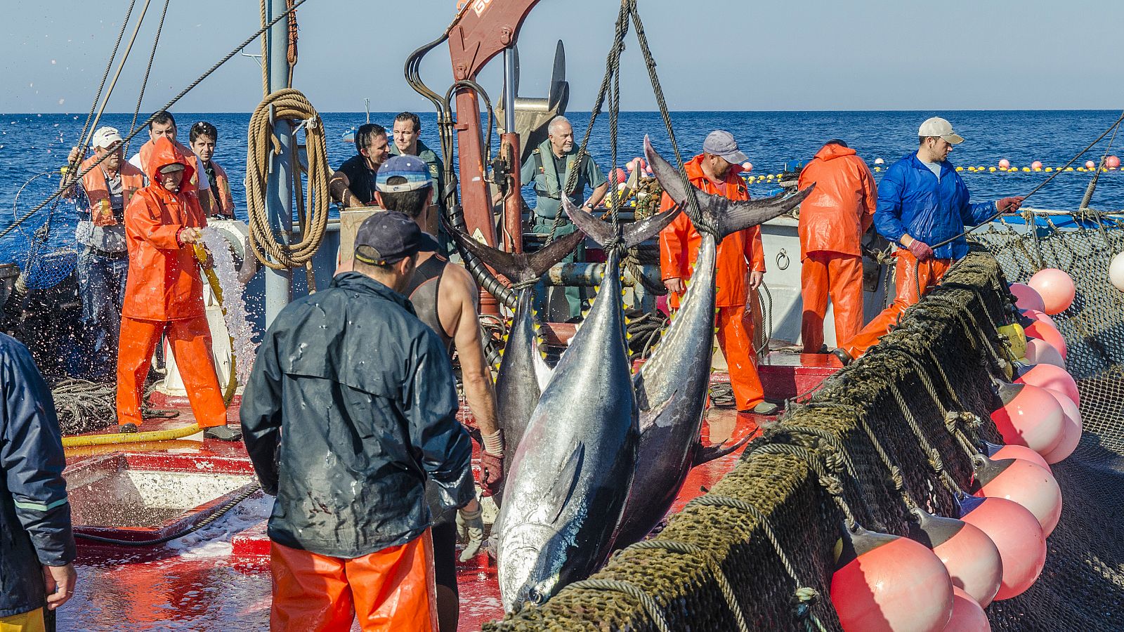 Pesca del atún de almadraba