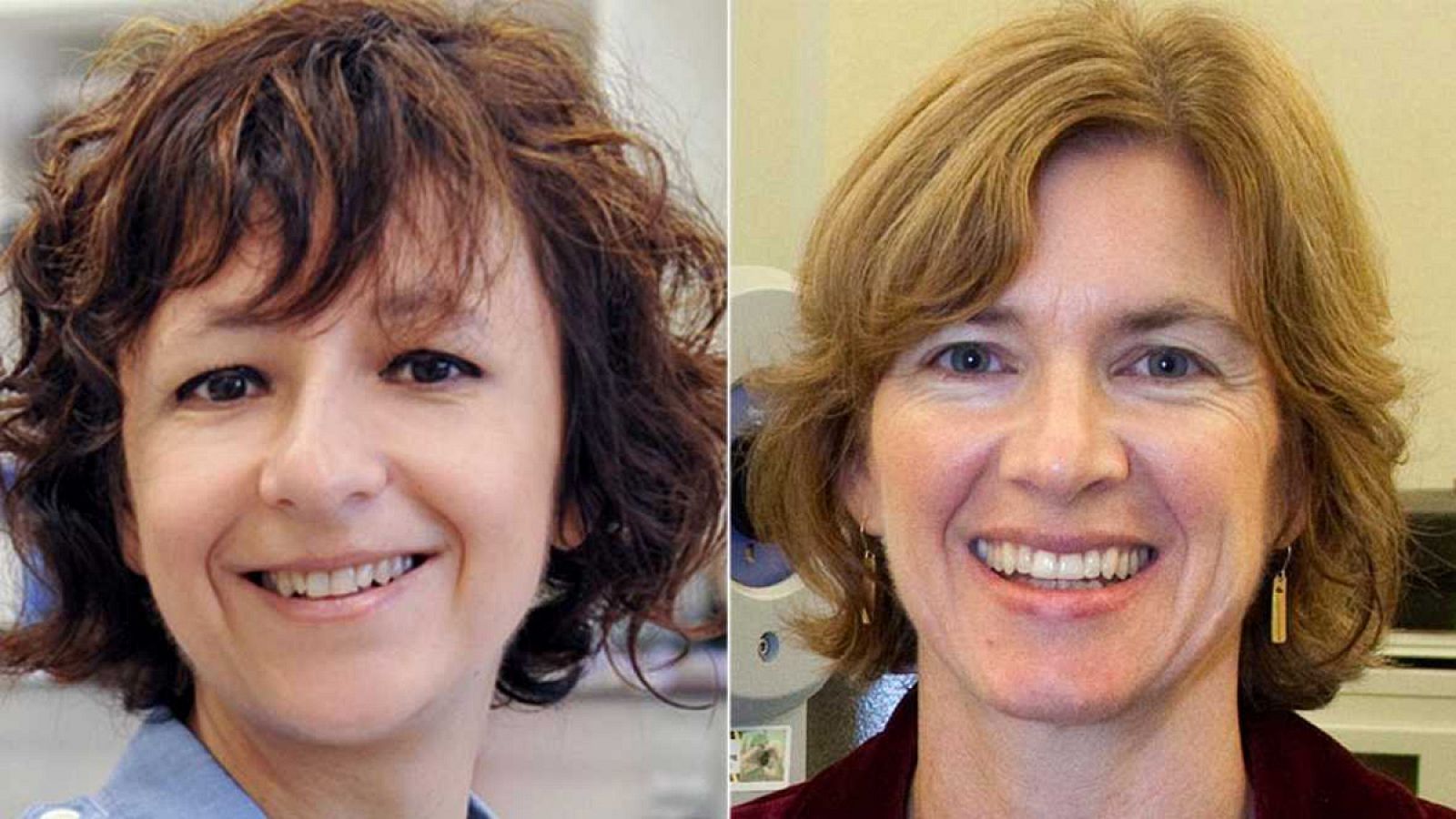 Las bioquímicas Charpentier y Doudna, ganadoras del premio Princesa de Asturias de Investigación en 2015
