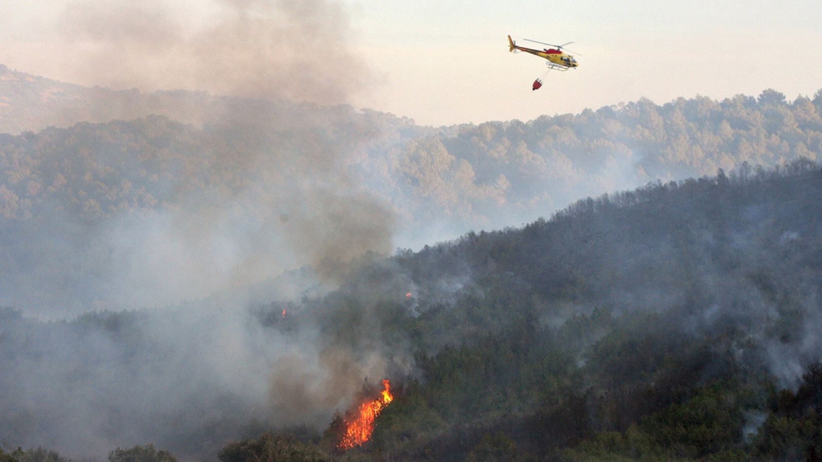 En 2015 se produjeron casi 12.000 incendios en España, que quemaron más de 100.000 hectáreas.