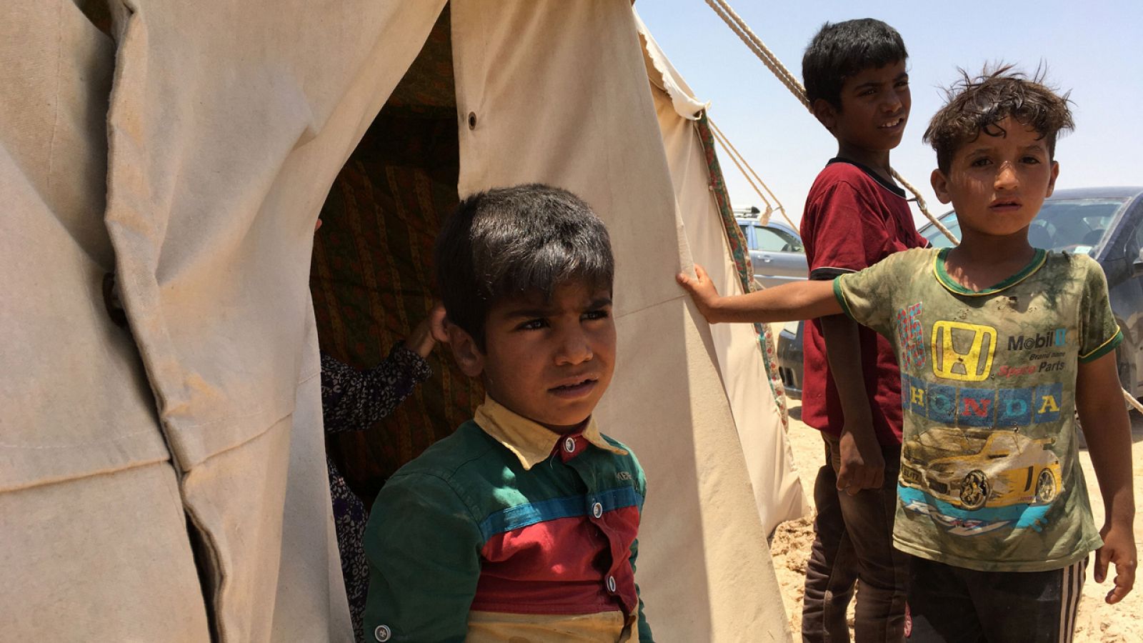 Niños iraquíes desplazados en el campamento de Amriyat al Faluya, leventado para alojar a refugiados de Faluya