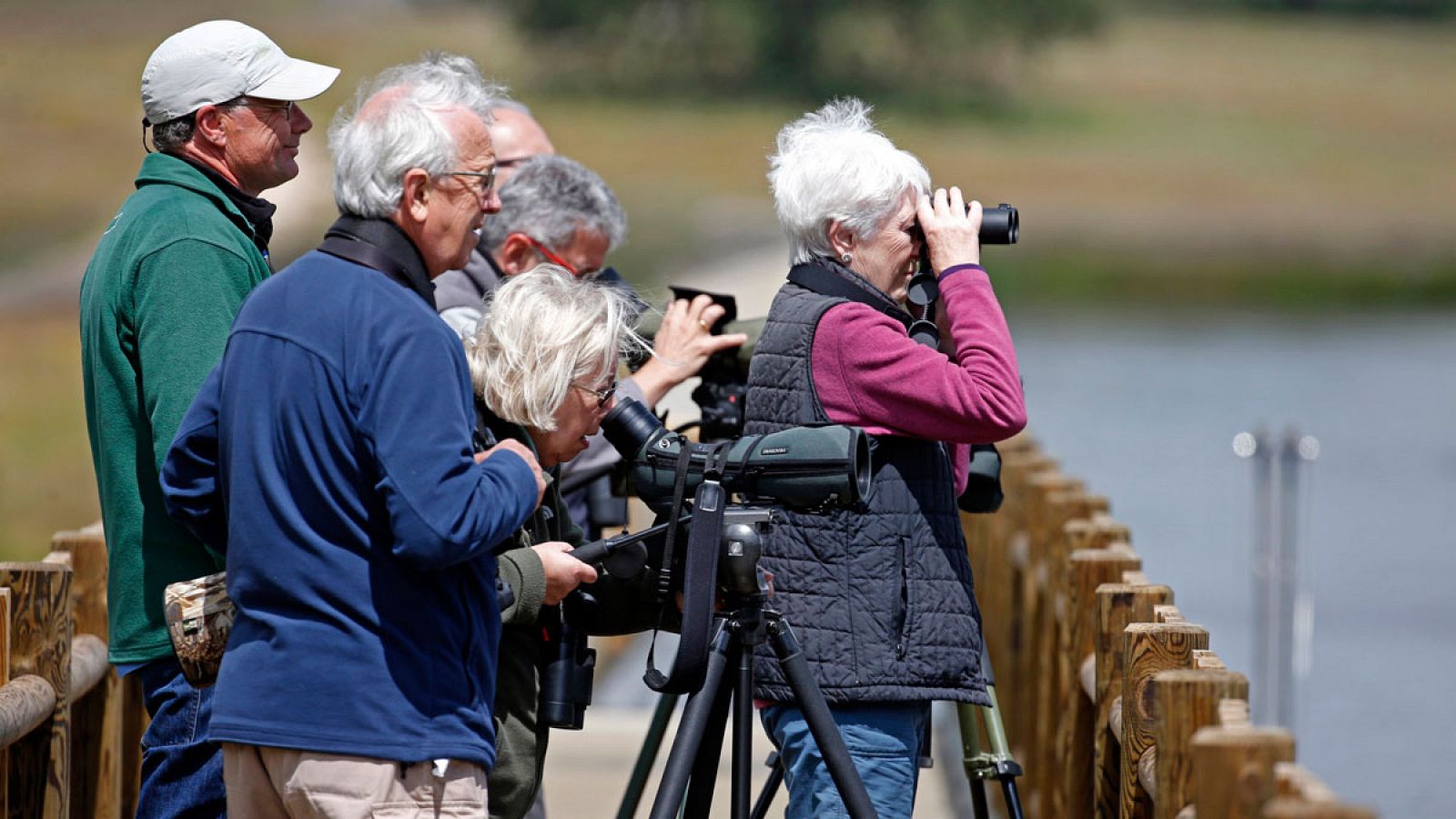 Turistas británicos aficionados a la ornitología observan las aves en Cáceres