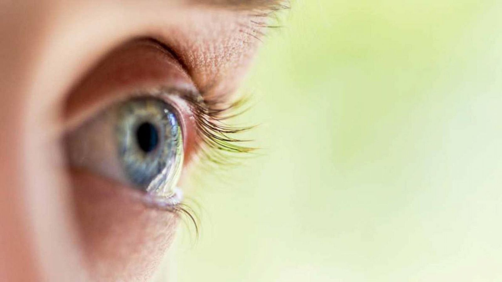 Nuevas moléculas que mejoran la visión en caso de degeneración de la retina