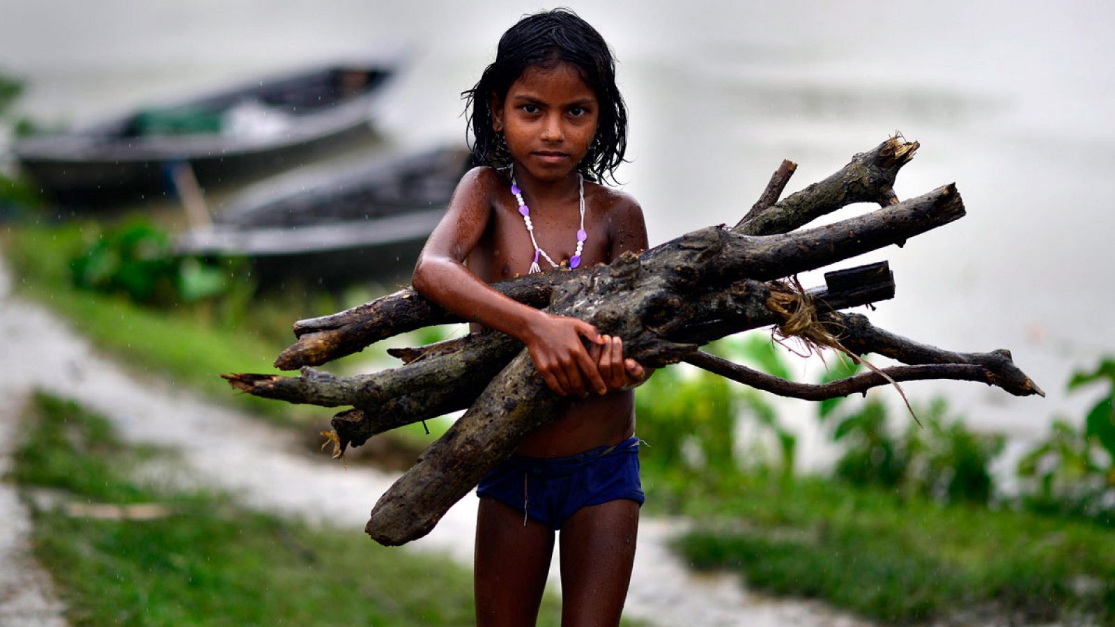 Una niña india recoge leña