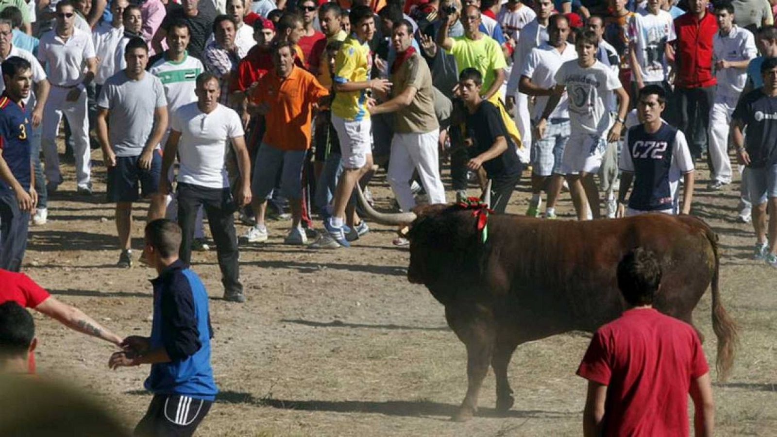Toro de la Peña el nuevo espectáculo taurino en Tordesillas