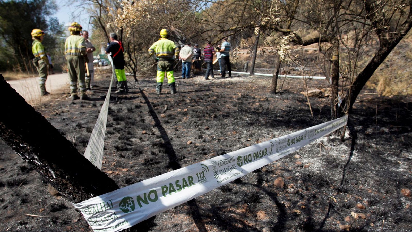 La mitad de las hectáreas afectadas por el incendio de Artana son de la Sierra de Espadán