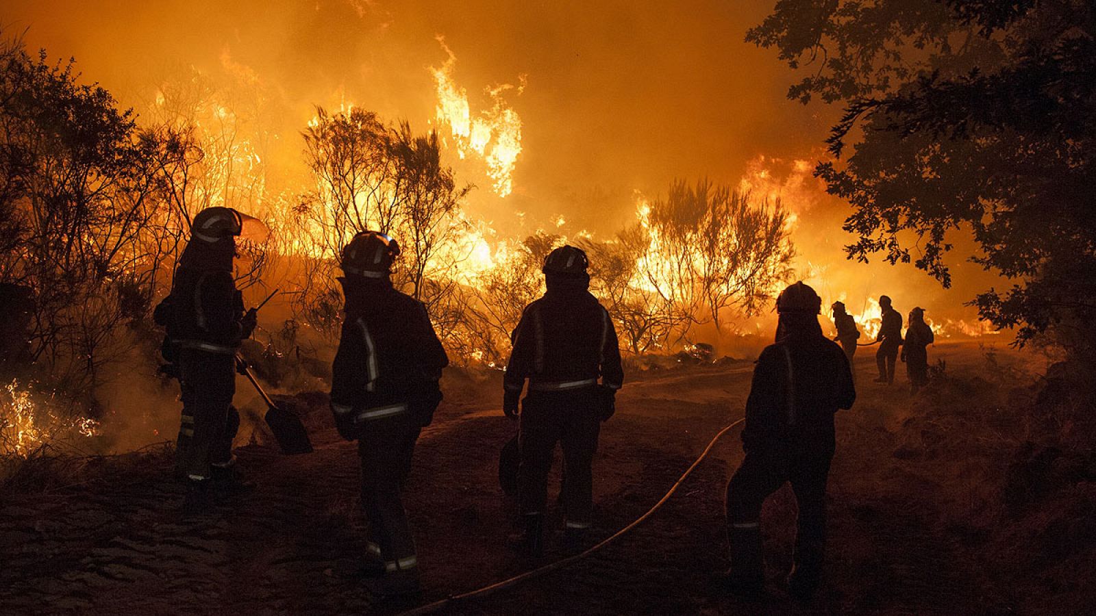 Varios bomberos combaten el fuego en Cualedro, Ourense