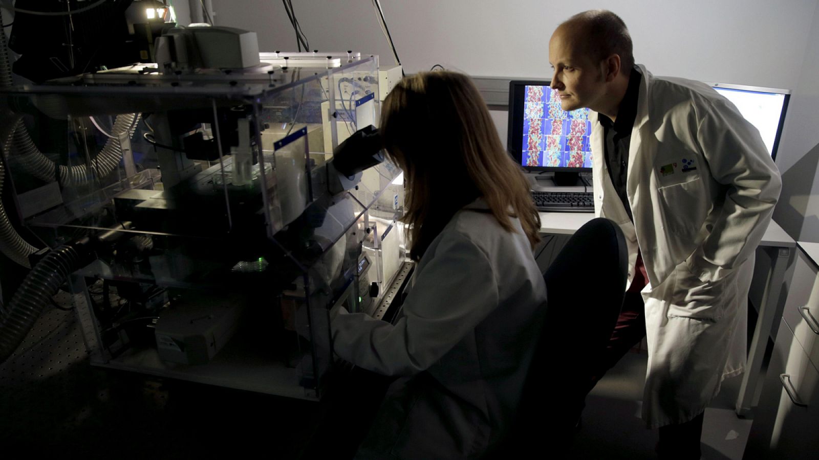 Científicos españoles investigan en la lucha contra el cáncer.