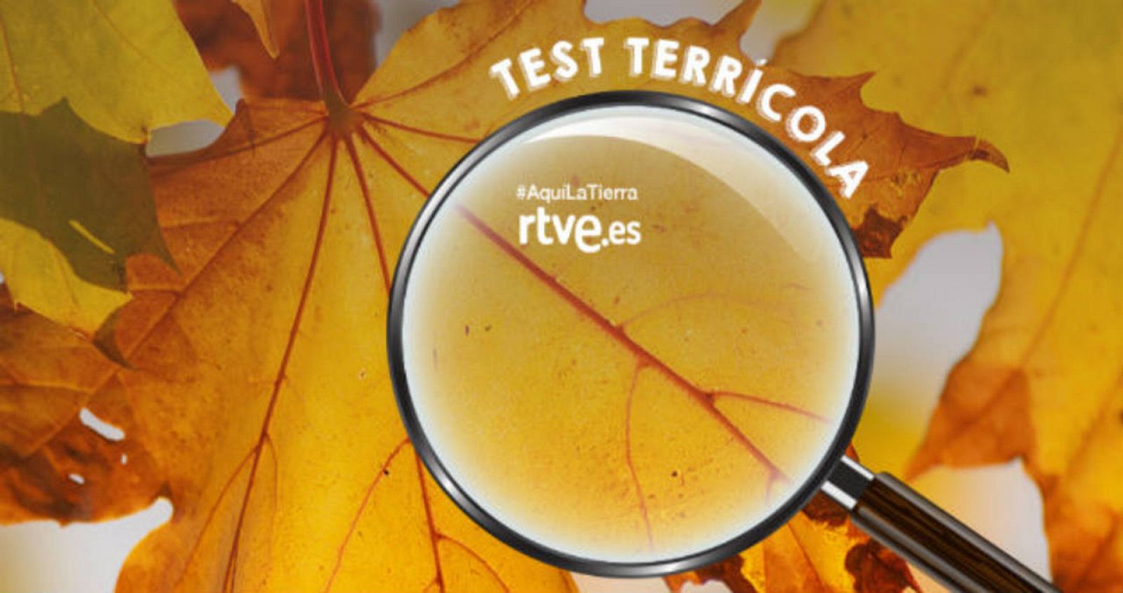 El test del otoño de Aquí la tierra