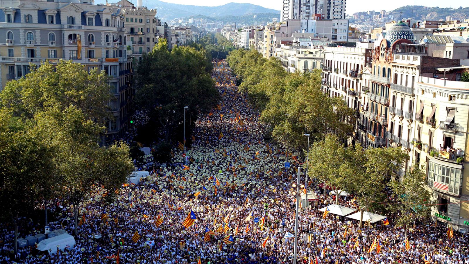 Miles de personas se manifestaron a favor de la independencia de Cataluña en la Diada