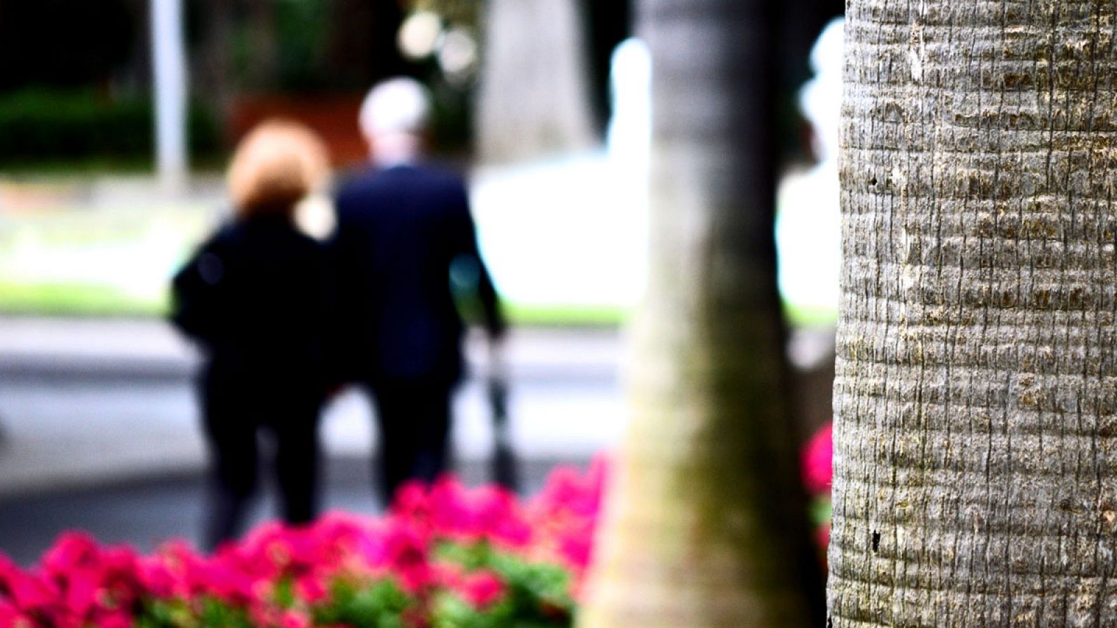 Una pareja de pensionistas pasea por un parque