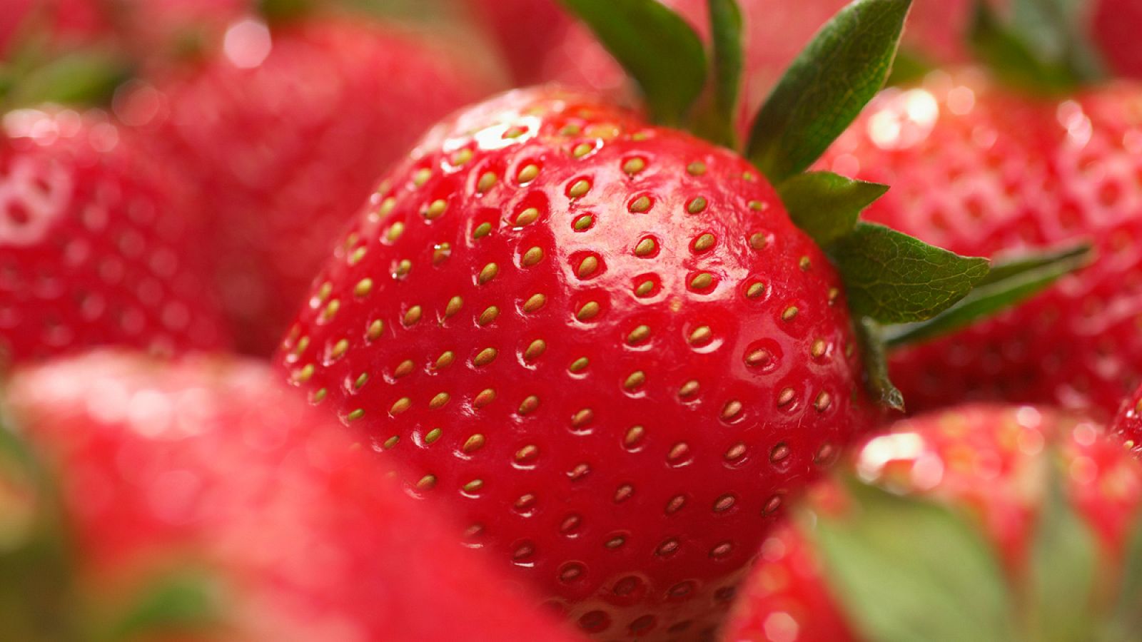 El estudio demuestra que las pepitas de las fresas tienen un gran poder antioxidante.