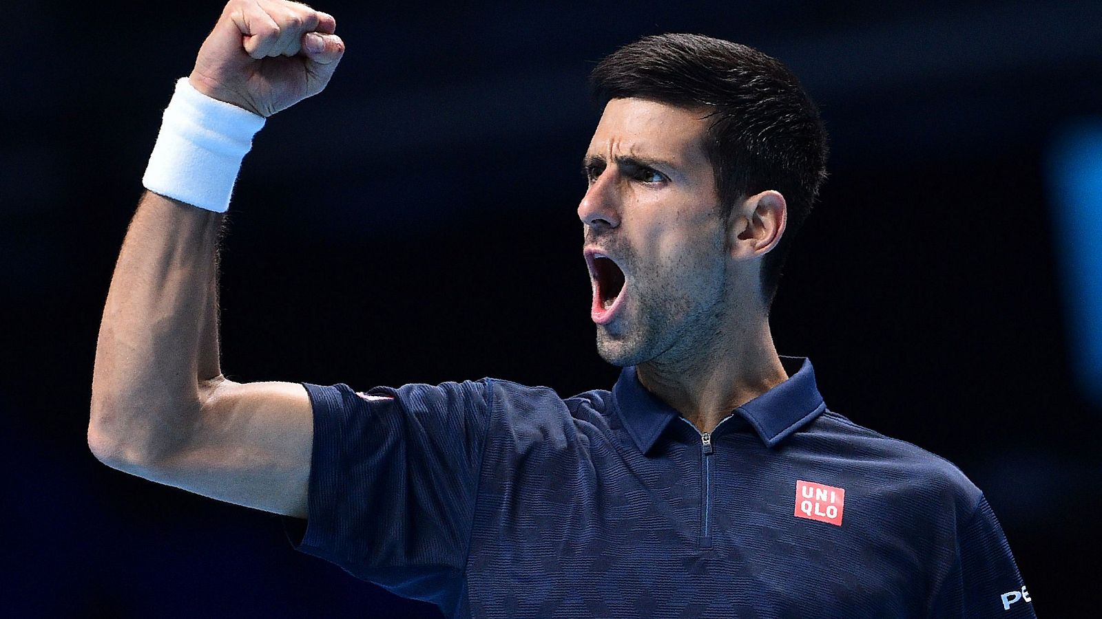 Novak Djokovic celebra ante Milos Raonic