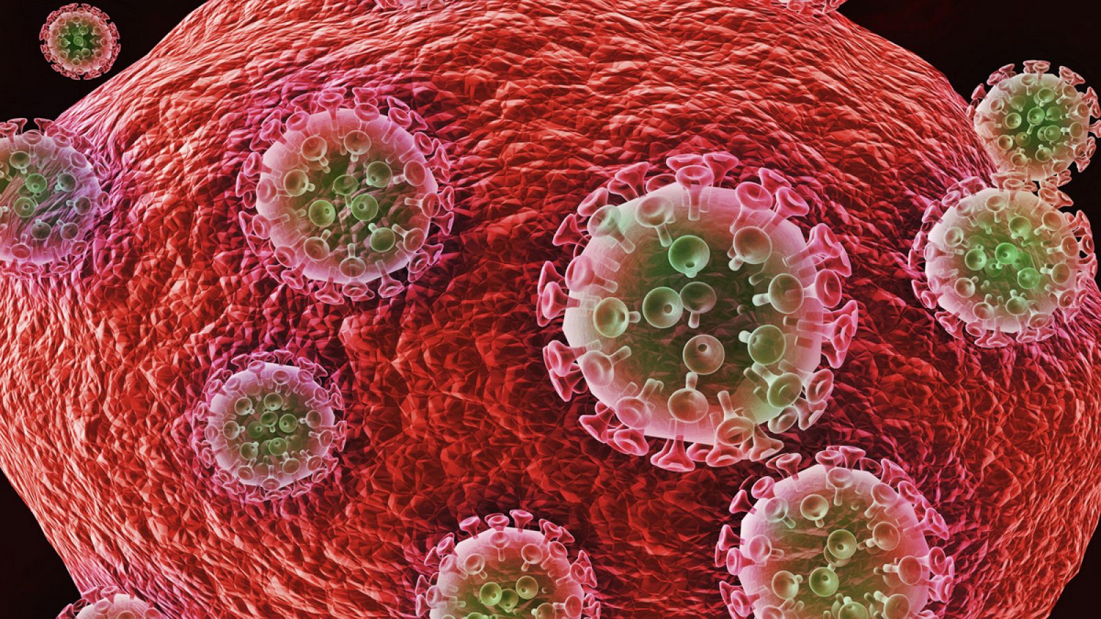 Representación de virus de la inmunodeficiencia humana atacando a una célula sana.