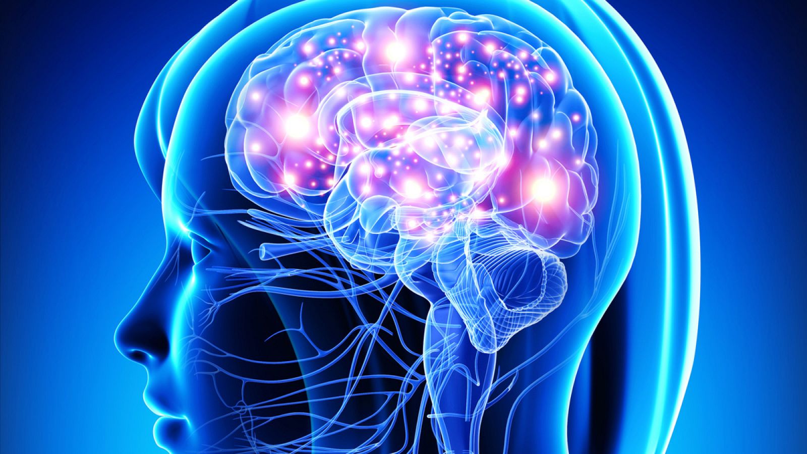La estimulación magnética transcraneal permite inducir actividad en la corteza cerebral.