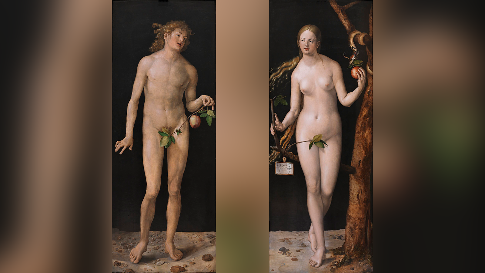 Cuéntame un cuadro: Adán y Eva, Duero