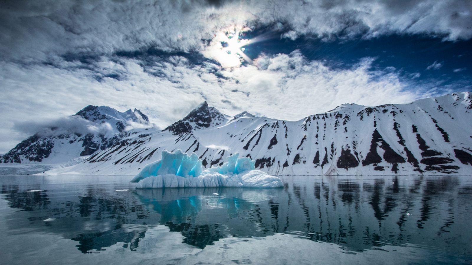 El estudio se he realizado en la Península Antártica desde mediados de siglo XX hasta 2015.