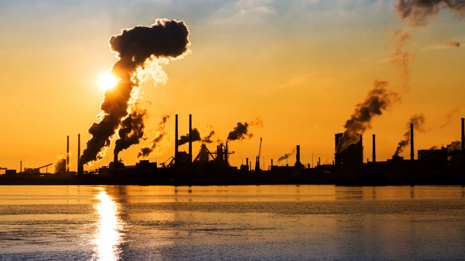 Greenpeace pide para 2017 una ley que garantice una transición energética para descarbonizar la economía.