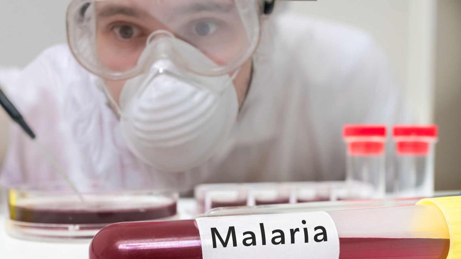 La malaria originó en 2015 más de 200 millones de infecciones y medio millón de muertos.