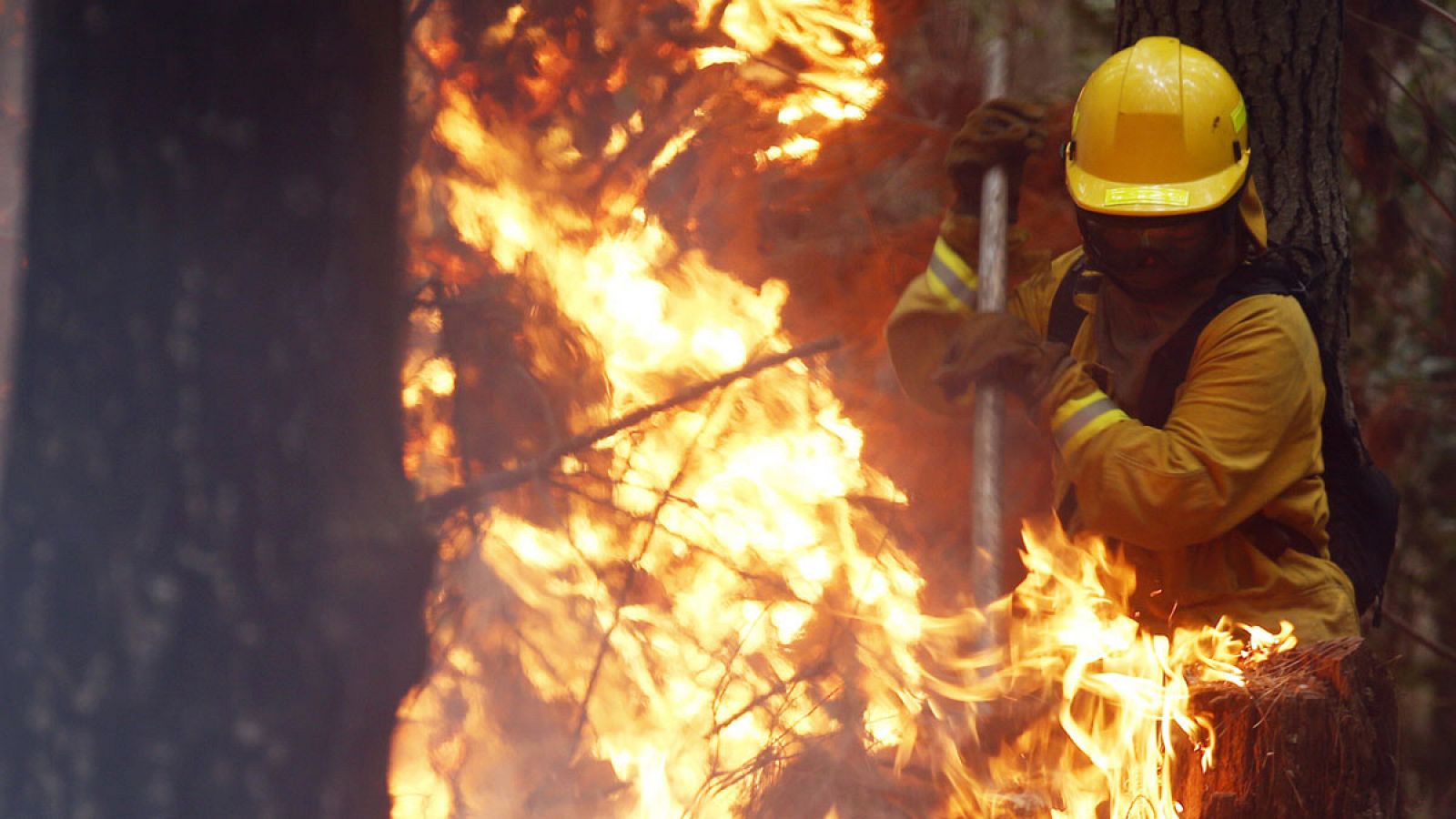 Un grupo de bomberos colombianos comienzan los trabajos para ayudar a contener el fuego de un incendio forestal en la localidad de Palomares en la región del Biobío, ubicado aproximadamente a unos 490 kilómetros al sur de Santiago (Chile).
