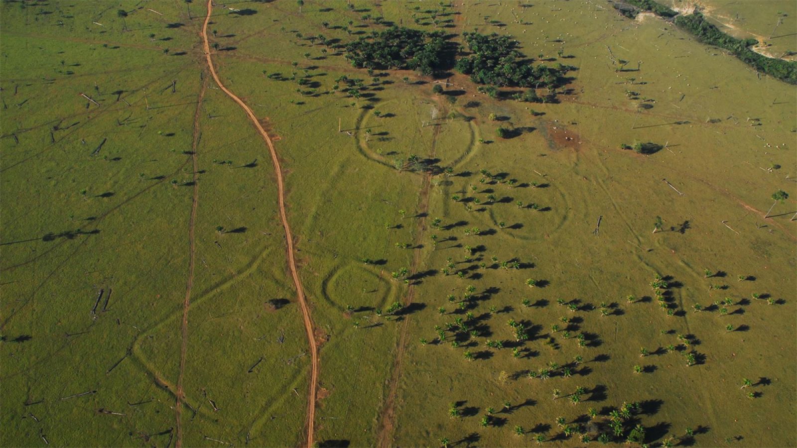 Se han descubierto más de 800 geoglifos en la Amazonía de Brasil y Bolivia.