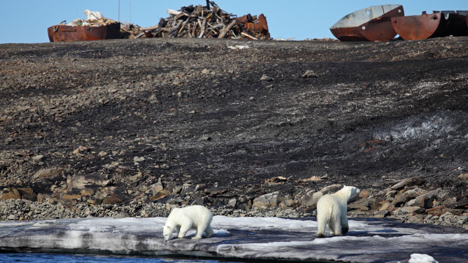 El Ártico es uno de los mejores escenarios donde se puede apreciar el cambio climático.