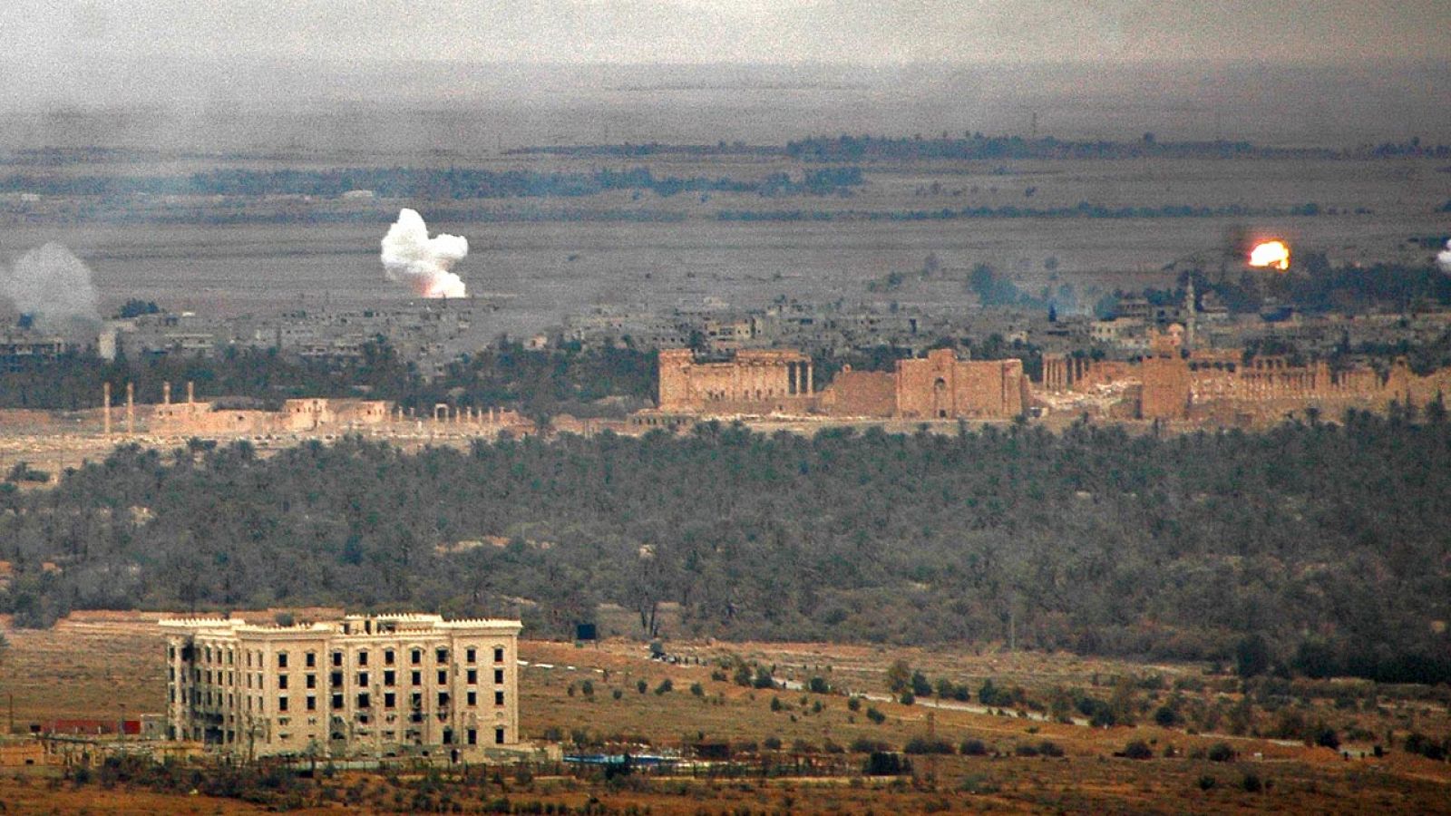 El avance del Ejército sirio en torno a la ciudad monumental de Palmira