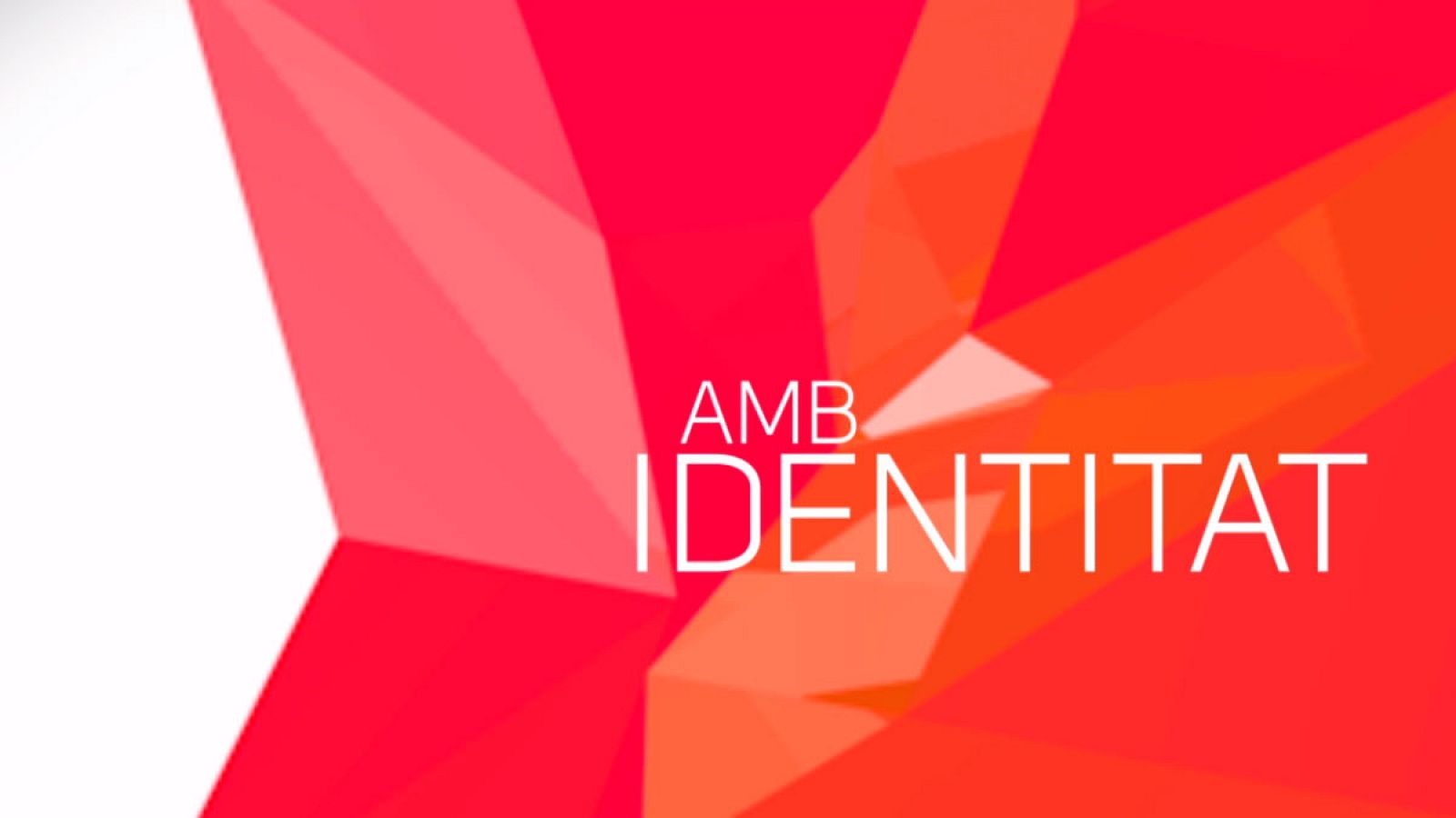 logo-amb-identitat
