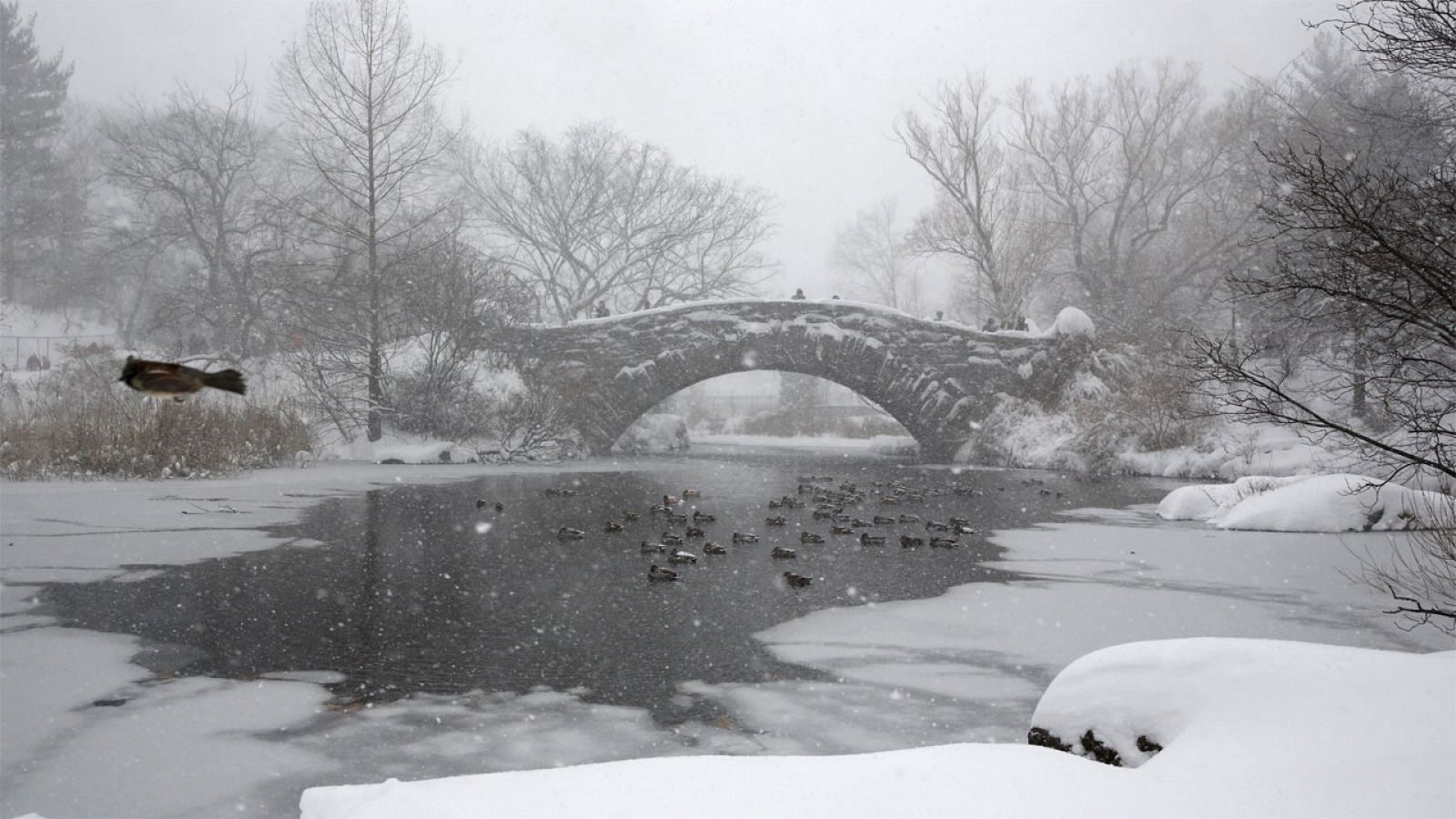 Imagen de archivo de Central Park nevado tras la tormenta Jonas en enero de 2016