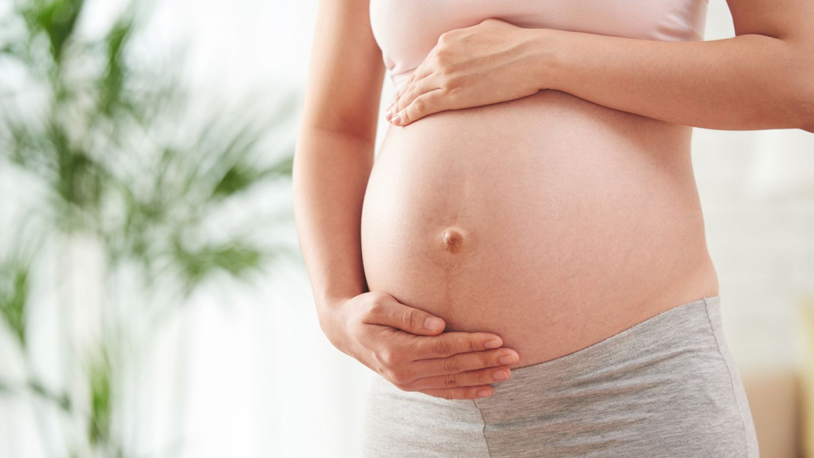 La diabetes materna durante la gestación supone un riesgo "muy importante" para la aparición de malformaciones en el desarrollo embrionario.