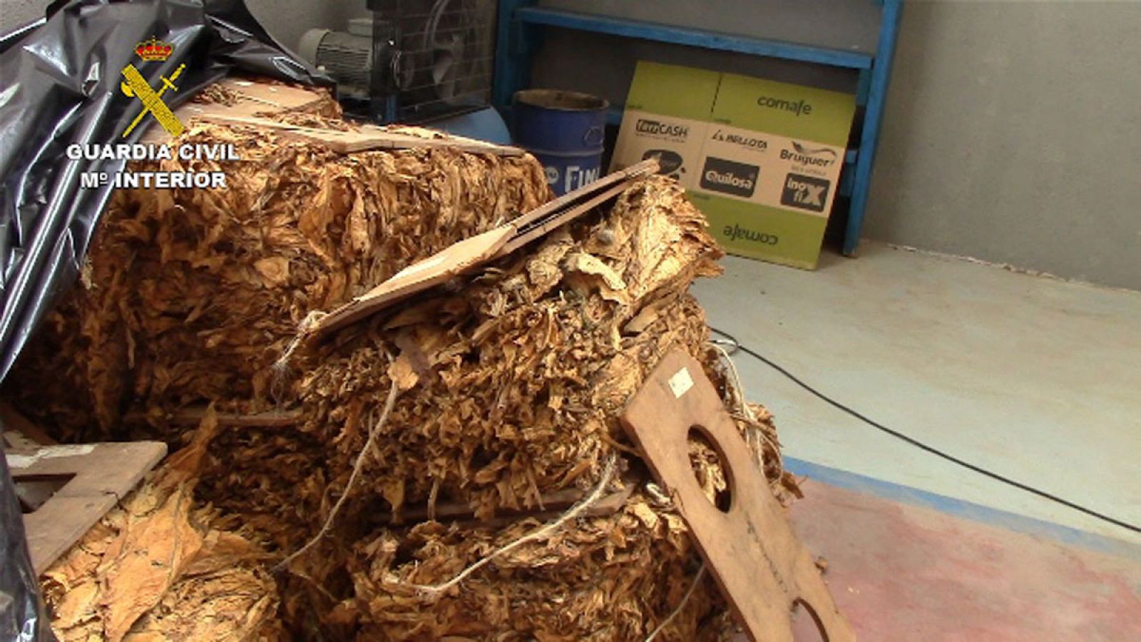 La Guardia Civil interviene más de seis toneladas de hojas de tabaco en Toledo