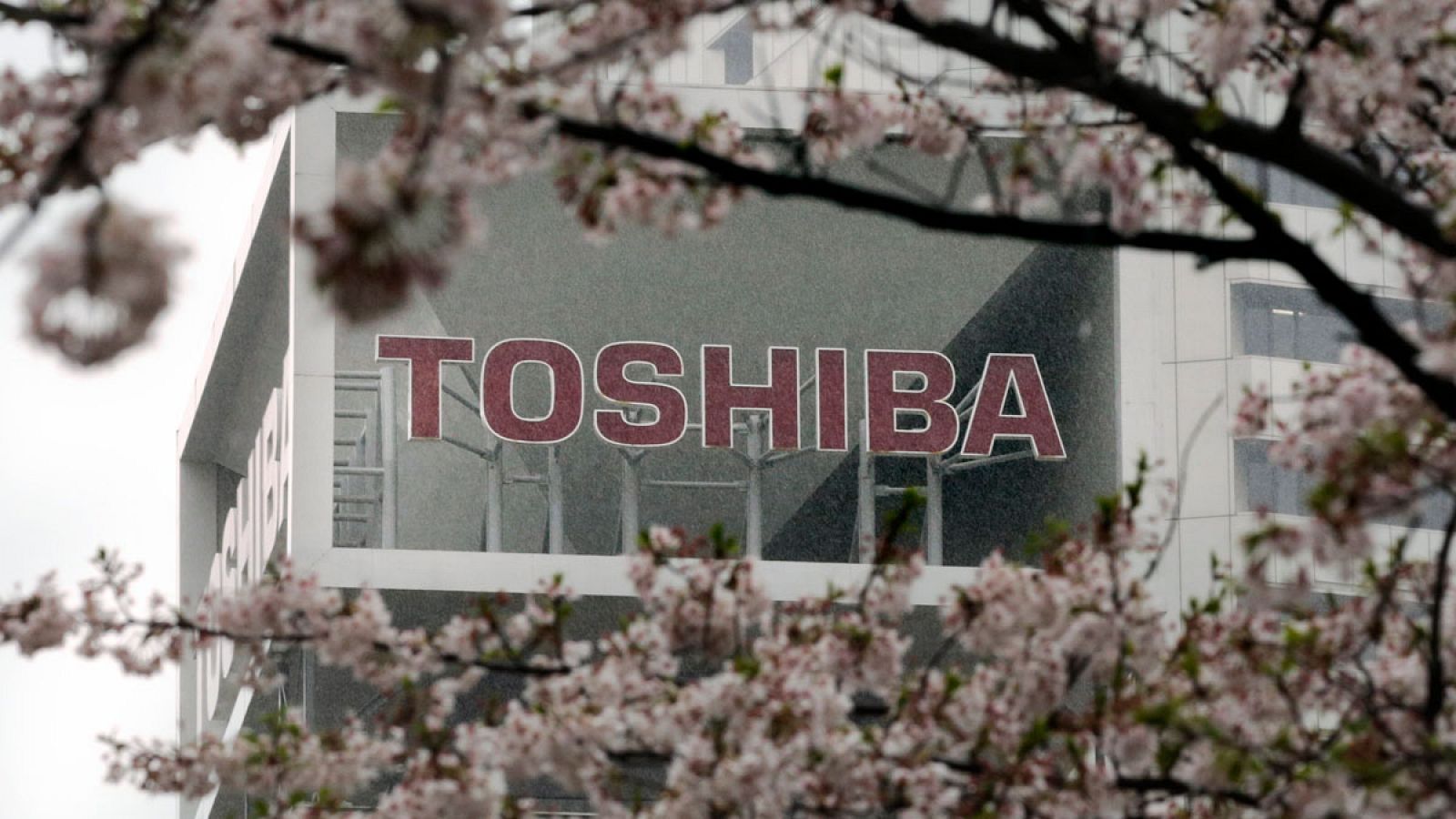 Cerezos en flor frente a la sede de la empresa tecnológica japonesa Toshiba en Tokio