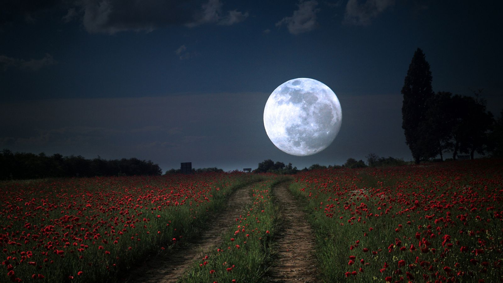 La Luna llena de mayo es conocida popularmente como la "Luna de las flores".
