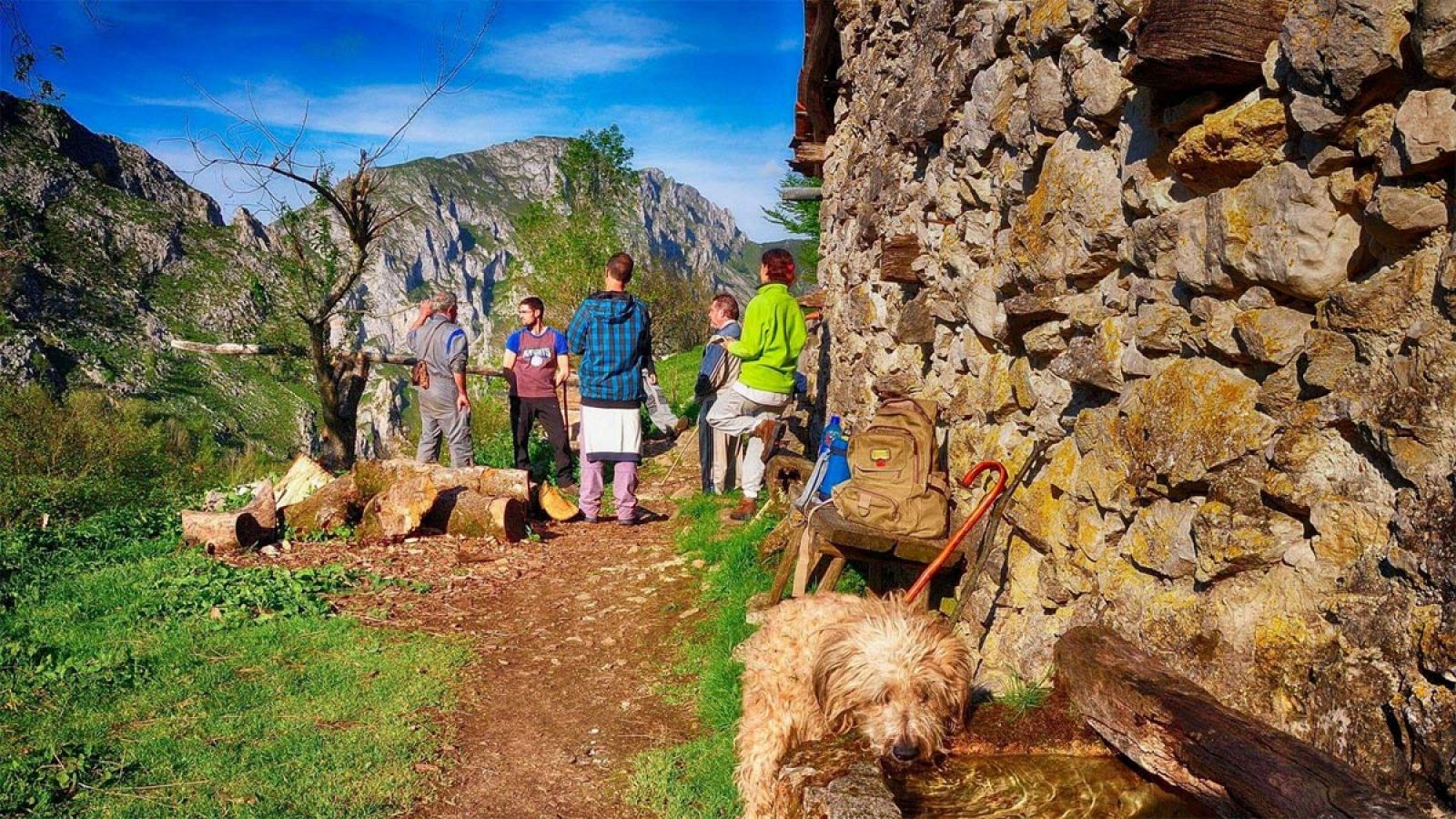 Han surgido escuelas de pastores en País Vasco, Extremadura, Asturias, Cataluña, Murcia y Andalucía.