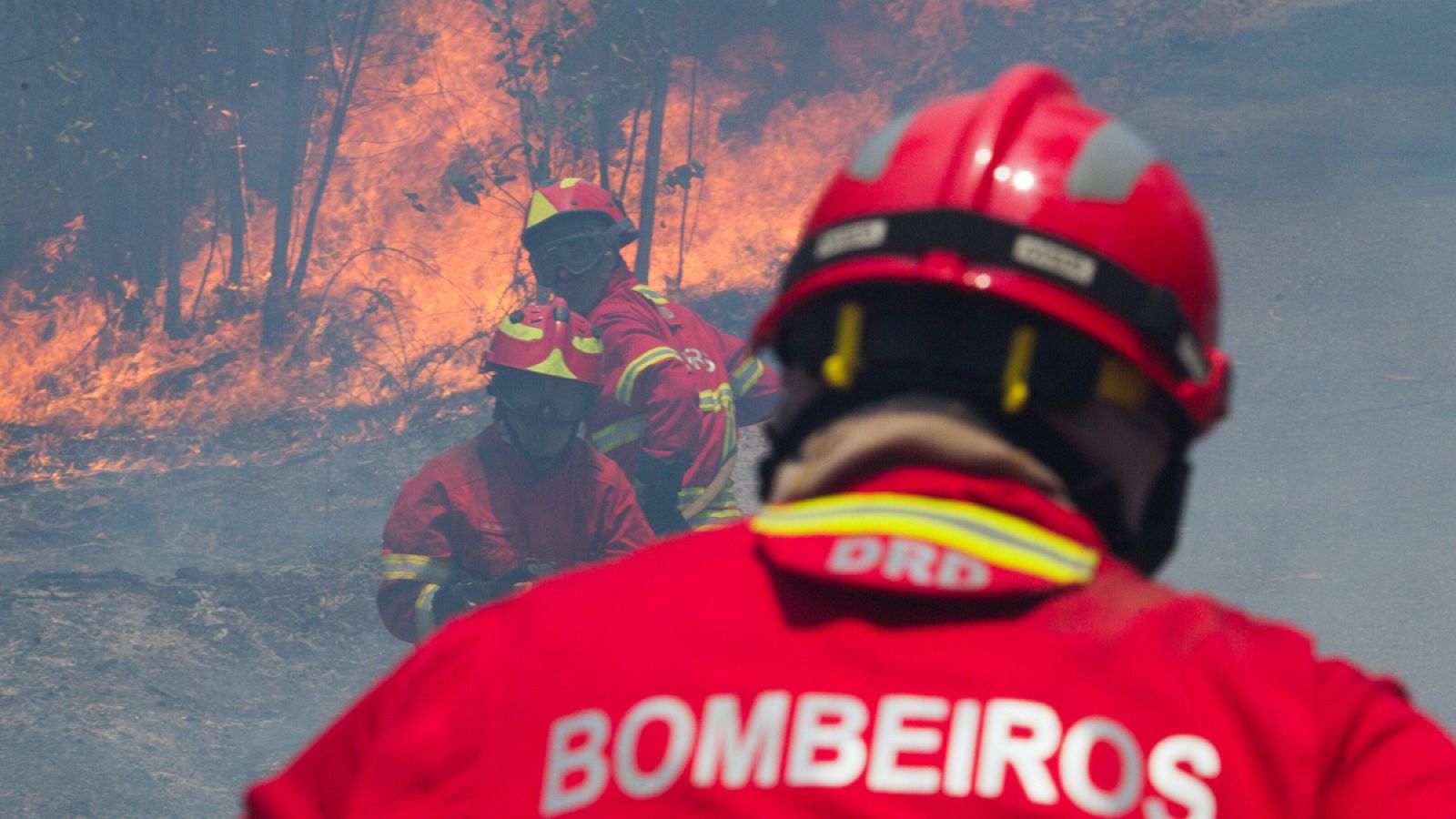 Incendio el pasado 18 de junio en Figueiro dos Vinhos.